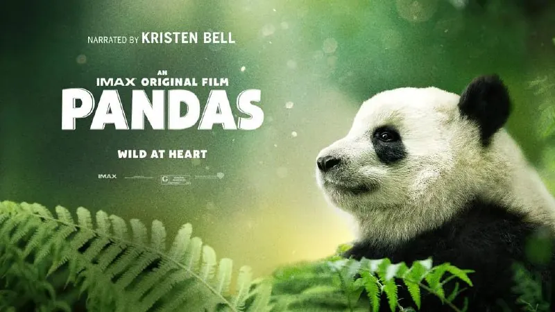 大熊猫Pandas（2018） 综合资源