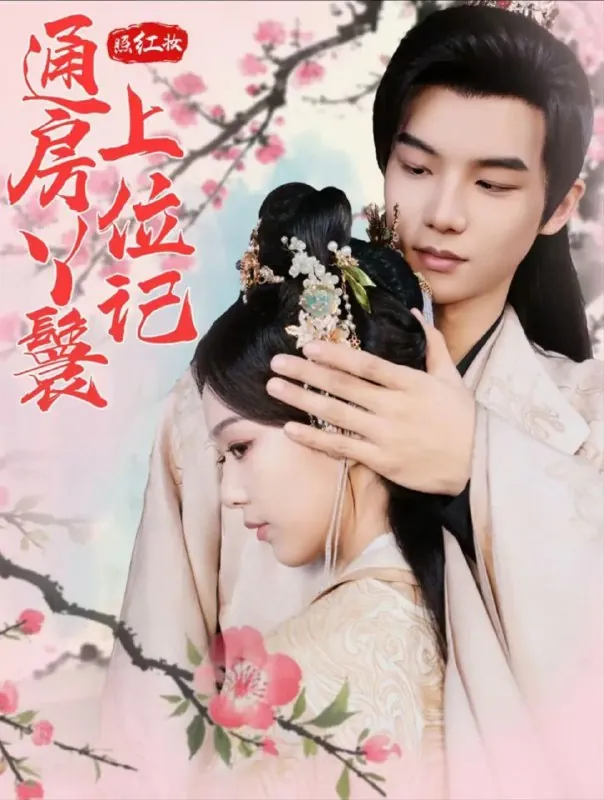 【短剧】照红妆通房丫鬟上位记（85集）黄子淇＆赵昱萱 综合资源