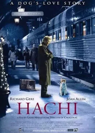 忠犬八公的故事（2009）1080P中字内嵌字幕 综合资源