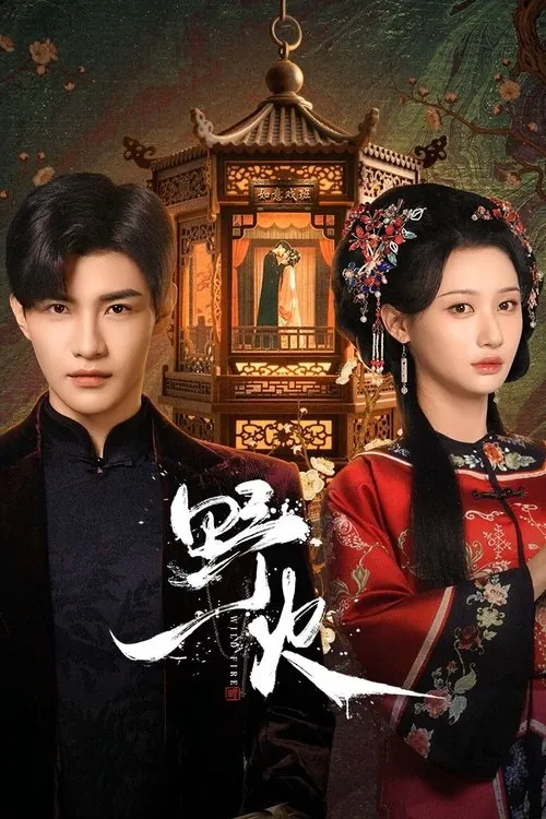 野火（2025）4K臻彩S01E01-E13 综合资源
