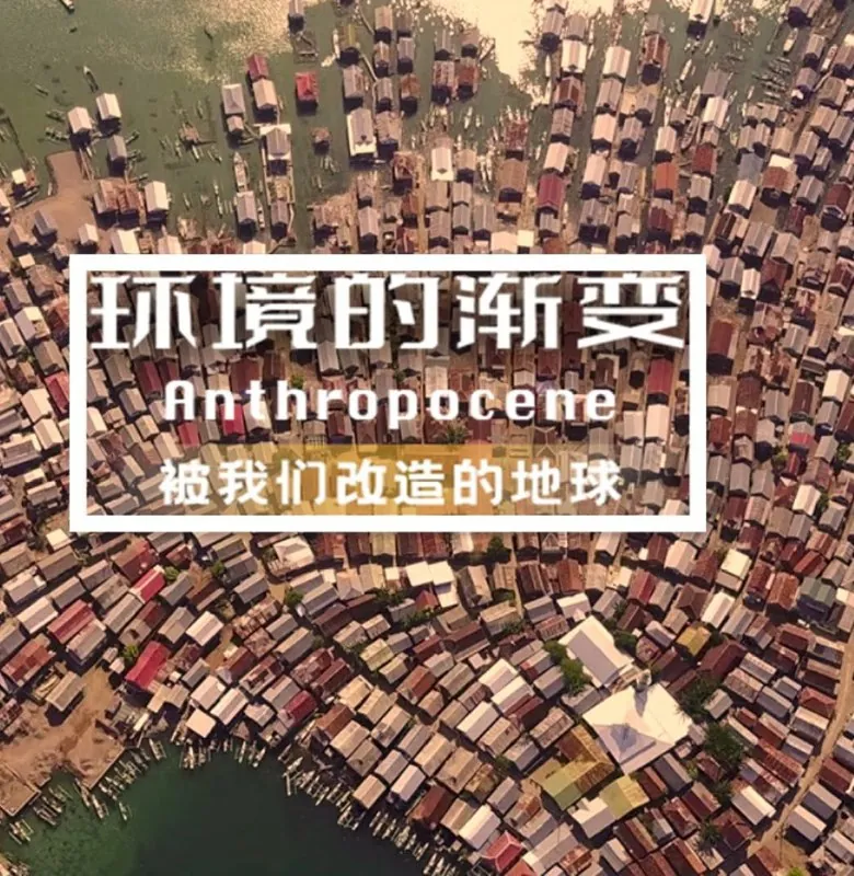 环境的渐变（2021） 综合资源
