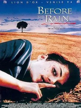 暴雨将至（1994）1080P中字内嵌字幕 综合资源