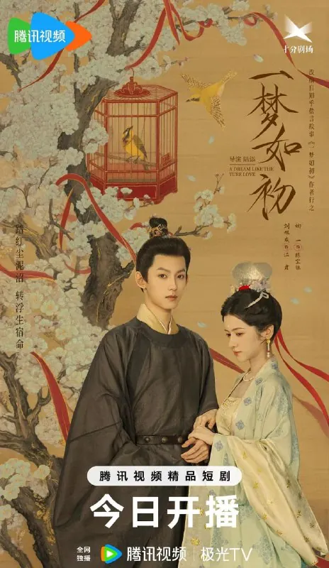 一梦如初（2025） 综合资源