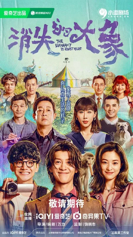 消失的大象（2024） 综合资源