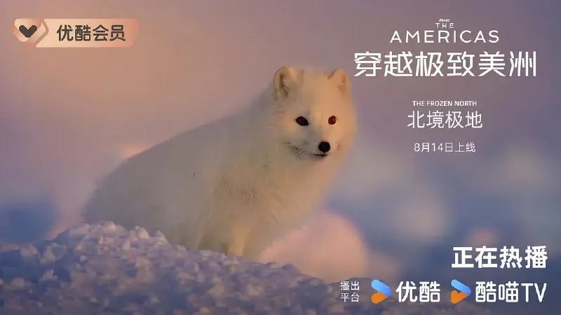 穿越极致美洲TheAmericas（2025） 综合资源