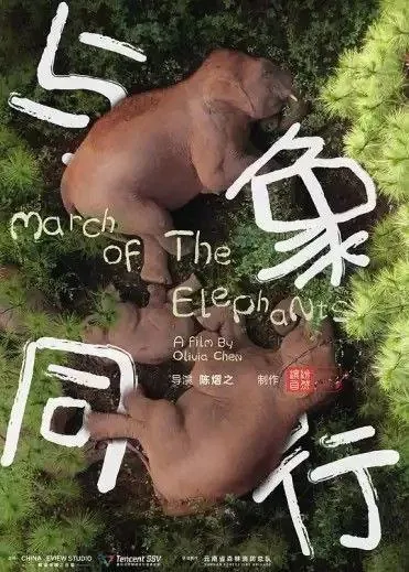 与象同行（2022）4K国语 综合资源