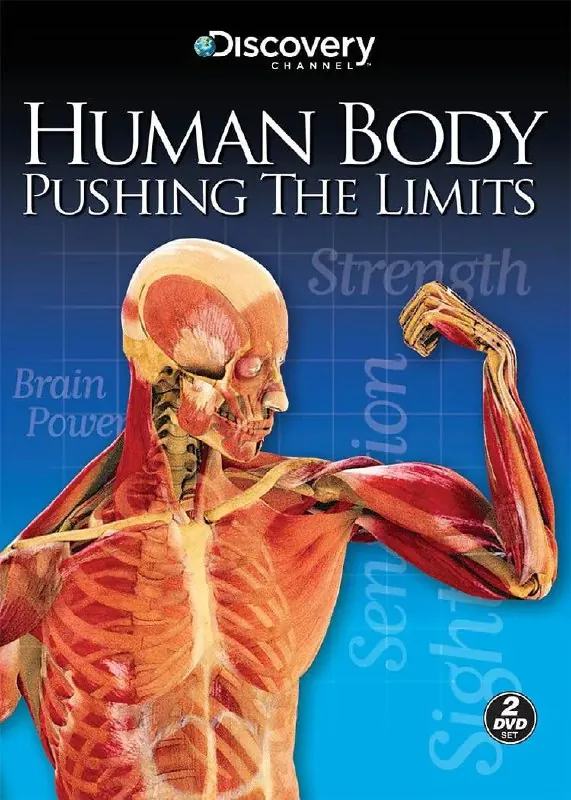 透视人体极限HumanBodyPushingtheLimits（2008） 综合资源