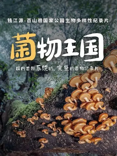 菌物王国（2023） 综合资源