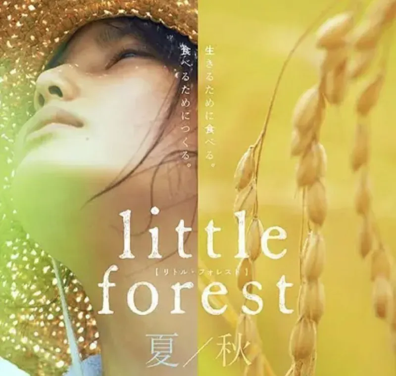 小森林夏秋篇（2014）1080P中字内嵌字幕 综合资源