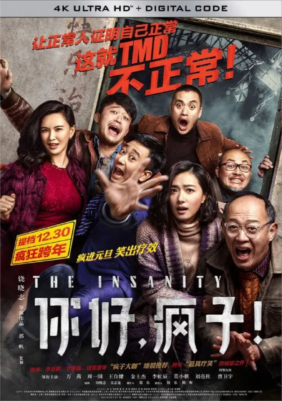 你好，疯子！（2016）4K60帧高码 综合资源