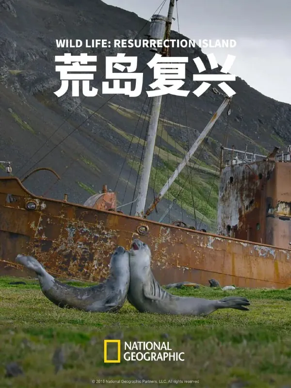 荒岛复兴WildLifeResurrectionIsland（2018） 综合资源