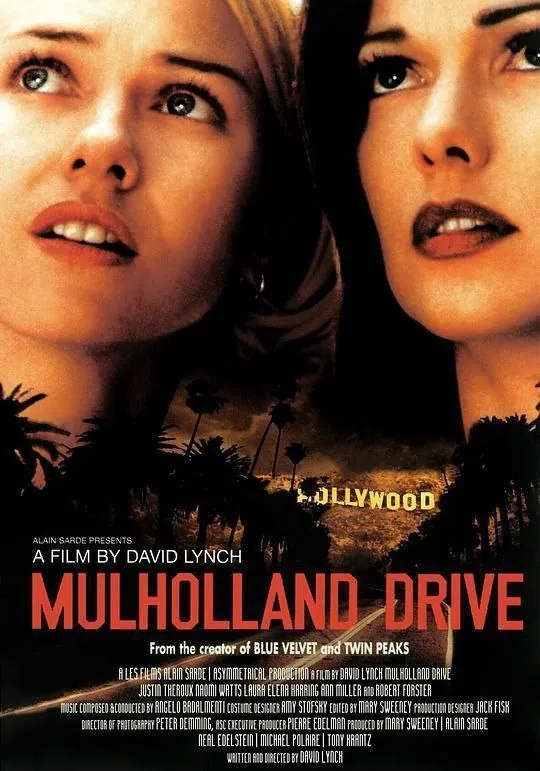 穆赫兰道（2001）4KHDR外挂简英字幕 综合资源