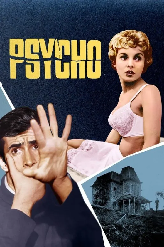 惊魂记（1960）1080P国英多音轨中字内嵌字幕 综合资源