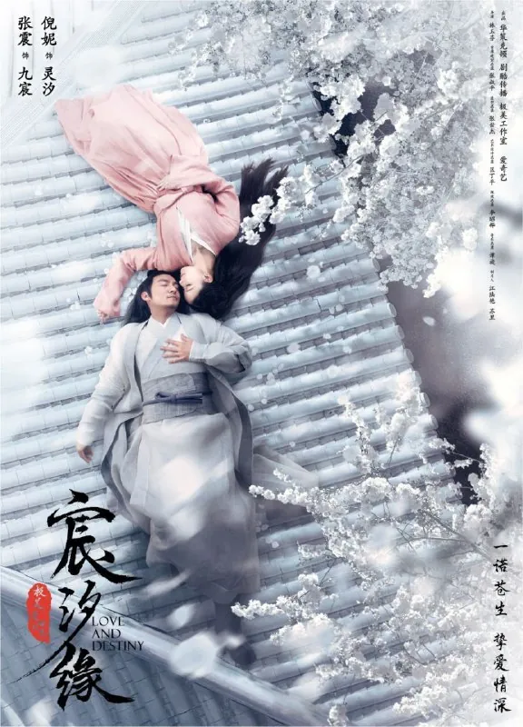 宸汐缘（2019）4K全集 综合资源