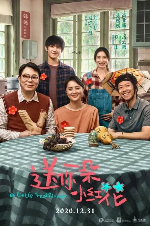 送你一朵小红花（2020） 综合资源