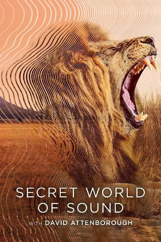 大卫·艾登堡：大自然的声音SecretWorldofSoundwithDavidAttenborough（2024） 综合资源