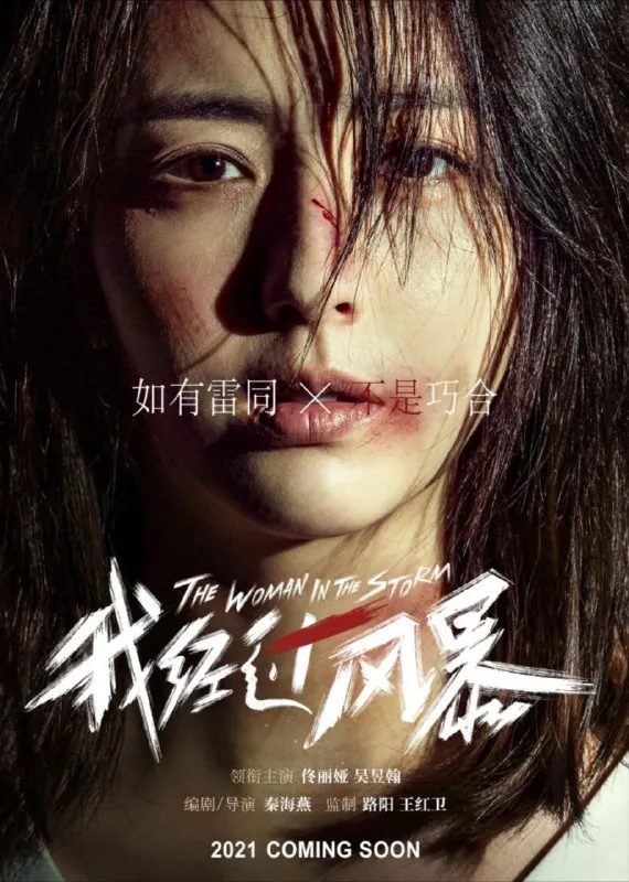 我经过风暴（2023）4K高码 综合资源